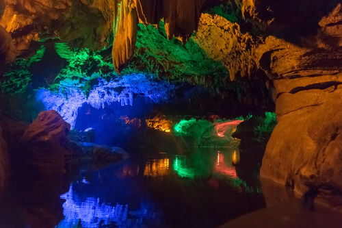 《心动小镇》8月1日溜溜橡木藏匿地揭秘，萤石宝藏新坐标揭晓
