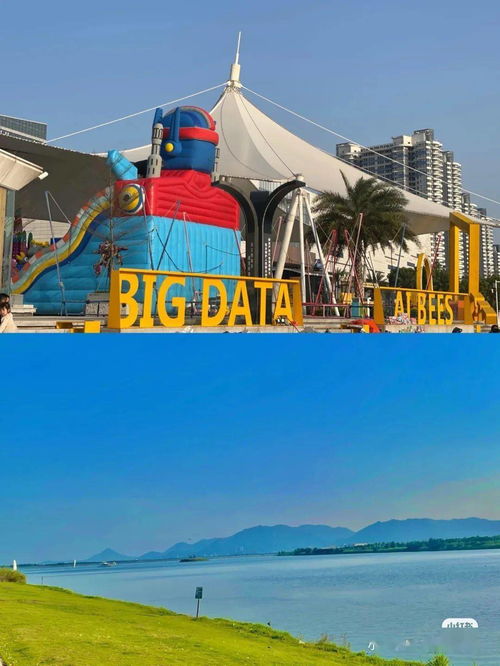 熊蜂捕捉攻略：心动小镇新发现秘境