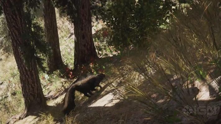 北美动物全揭秘，《孤岛惊魂5》野生动物大猜想新视角