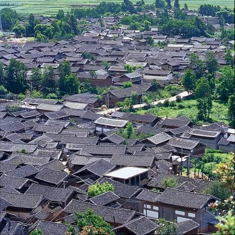 古城黄昏玫瑰绽放，萤火续写日记新篇