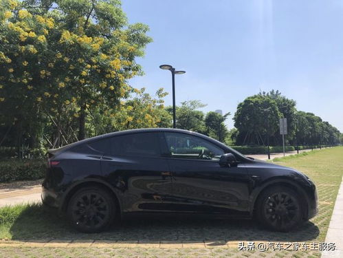 新款Model Y静音设计用力过猛?车主担忧安全隐患！