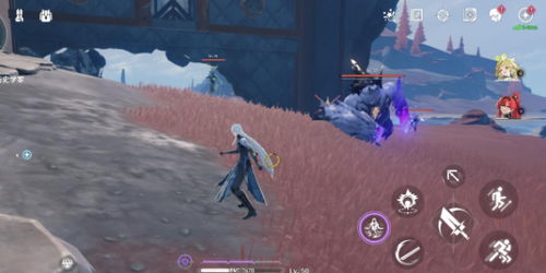 《鸣潮》凝夜白霜3C声骸高效刷取攻略，速来掌握！