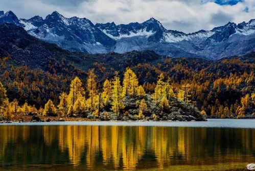 《海利根施塔特秘境，谱写浪漫新篇章》