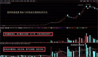 《鸣潮》傲寒钟高效采集攻略：隐藏路线大揭秘！