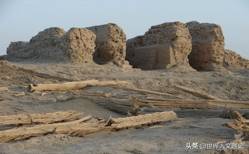 揭秘三角洲行动零号大坝:鸟窝分布之谜,探秘之旅！