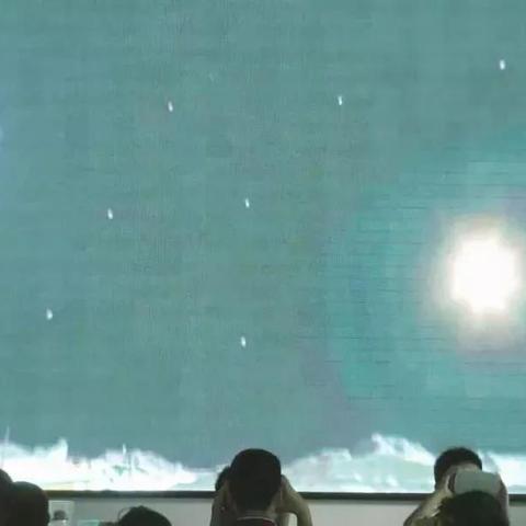 流浪狗冒险之旅，揭秘《流浪》新篇章价值绽放