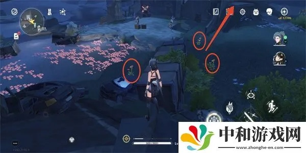 妙弋花收集攻略：鸣潮秘境探宝指南