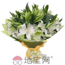 《鸣潮》花卉攻略：高效收集路线大揭秘，轻松解锁新价值