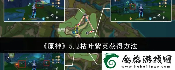 《原神》紫英枯叶秘境攻略：获取方法大揭秘