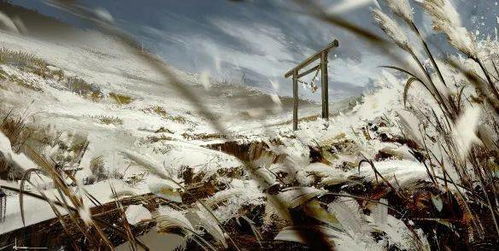 对马岛之魂灯塔探秘：揭秘10座神秘灯塔坐标攻略