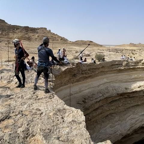 《动物井》全道具轻松拿，攻略秘籍大揭秘！