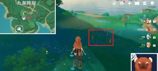 《原神》蜥蜴尾攻略：高效收集新秘籍