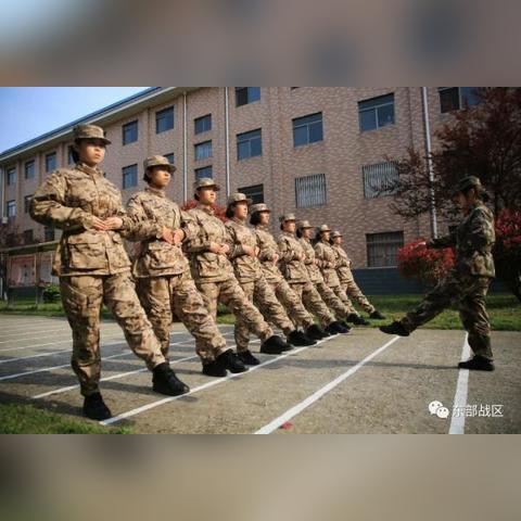 《从军》新手入门攻略：揭秘高效成长秘籍