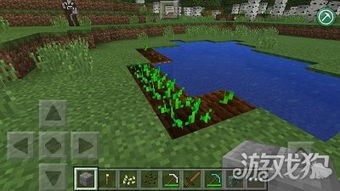 庄园领主农业攻略：高效种植新秘籍