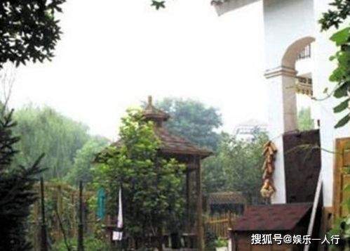 《庄园领主》堡地后院建设攻略：高效规划，打造生态庄园新典范