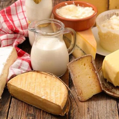 《庄园领主》攻略：速成领主必备技巧，解锁财富之门