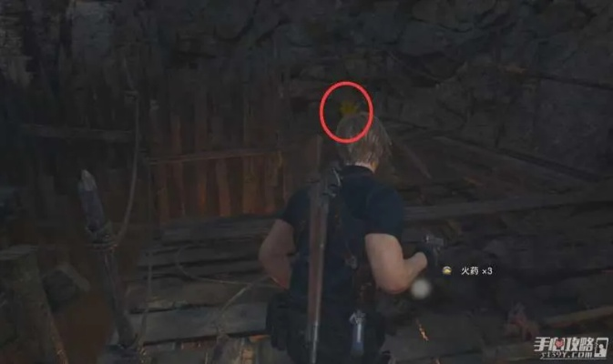 《生化4重制版》全黄草速寻攻略：隐藏位置大揭秘