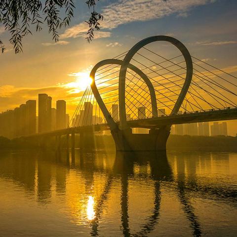 《纸百合第一章》成就攻略：解锁全成就技巧解析秘籍