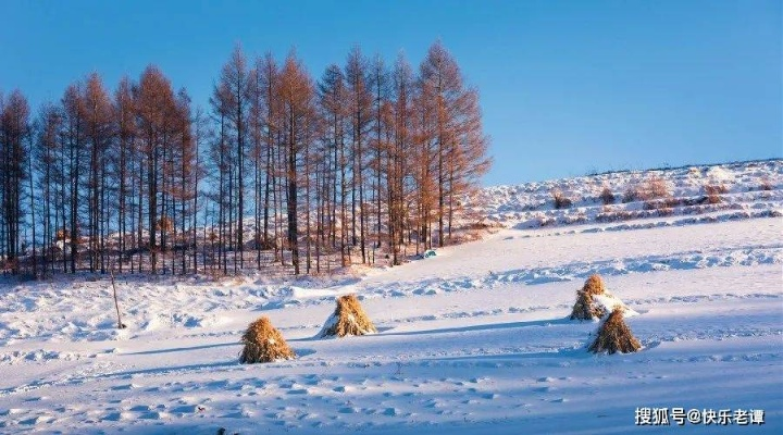 雪原深处，刹那绽放无尽希望与哀愁