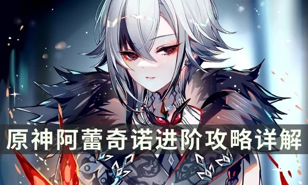 《原神》阿蕾奇诺强力配队攻略，打造全新输出组合