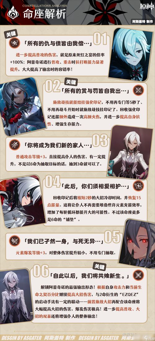 阿蕾奇诺强力仆人装备攻略，打造完美输出阵容秘籍