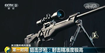 战场死神再现，Gewehr.98狙击步枪巅峰性能解析