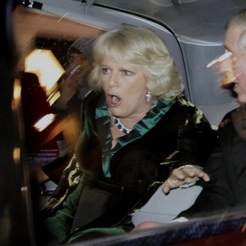 《恶意不息》BOSS攻略：高效分裂双子战法揭秘！