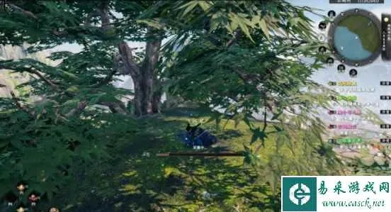 《江湖2秘境探秘：飞炼草高效获取攻略》