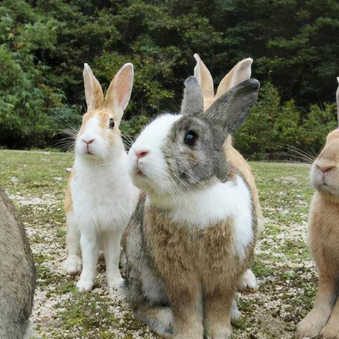 《全境封锁》地下世界：高难度挑战，体验极致折磨新境界