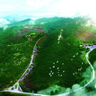 十年磨一剑，信念铸《最后的守护者》巅峰之作