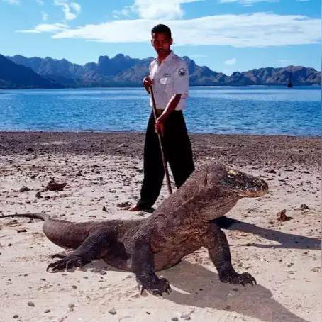 《地平线：黎明时分》室内秘境深度探秘，空间美学焕新升级