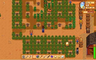 《星露谷物语》帽子刷取攻略：轻松获得稀有帽子！