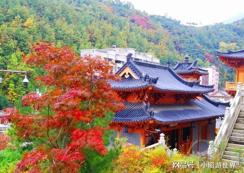 《宝可梦朱紫》G神兽实力解析：深度剖析新价值揭秘