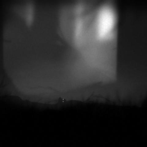 《地狱边境》限时免费大放送，永久拥有体验新价值！