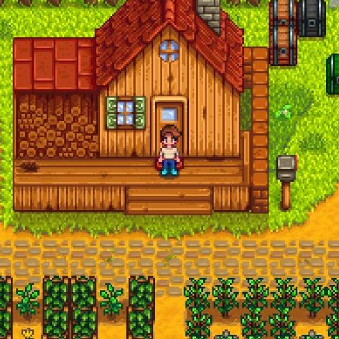 《星露谷物语》1.6版新道具攻略：解锁神秘宝藏秘籍