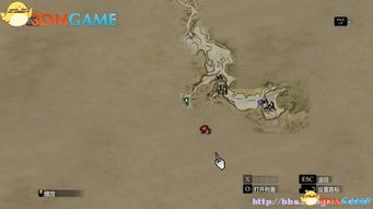 掌握《龙之信条2》精灵语精髓，解锁森林语学习秘籍