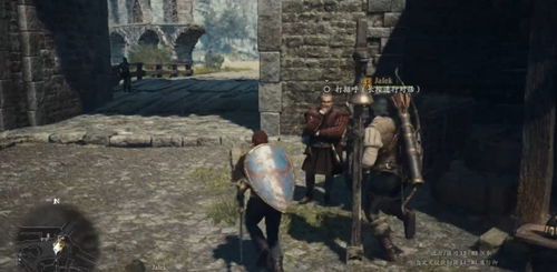 《龙之信条2》水边蜥蜴支线攻略：高效完成技巧揭秘