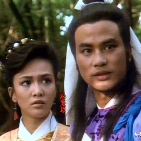 狂暴狮王队搭配攻略，深度解析新视角！