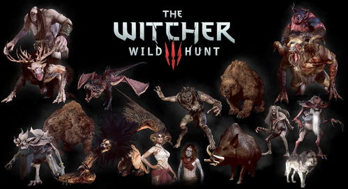 《巫师3》绝美延时：沉浸仙境，视觉盛宴新体验