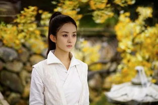 娄艺潇写真曝光引热议，网友期待与曾小贤陈赫同框再现经典