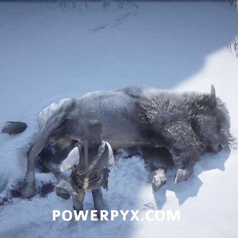 《荒野大镖客2》绝版饰品寻宝攻略，野外珍稀宝藏速查指南