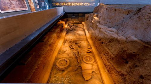 《碧海黑帆》皇家墓园宝藏揭秘：藏宝点位置全攻略