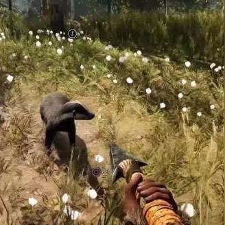 狂野孤岛4K赏：原始杀戮新视角震撼呈现