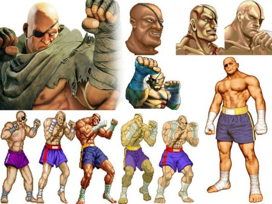 《街头霸王》角色演变揭秘：出场次数巅峰盘点