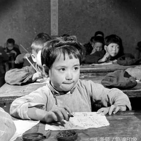 《全境封锁》黑暗地带：揭秘生存挑战新篇章