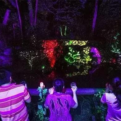 夜行侦探R重制版：光影交织探秘之旅