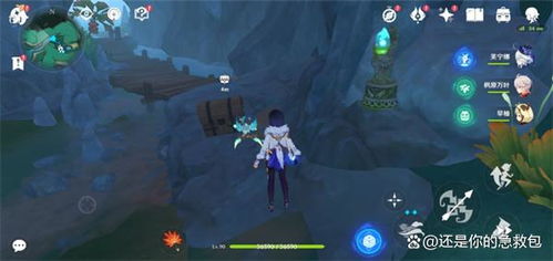 《原神》4.4版本苍灵鲤位置详解：攻略全解析，快速收集攻略指南