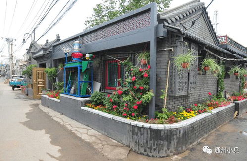 威基基镇周边摄影攻略，热带风情一网打尽！