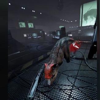 原始杀戮孤岛惊魂，破解加密新挑战来袭