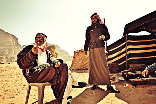 中东秘境探秘，阿拉伯风情动作《卡斯尔·艾瓦萨》新图揭秘之旅